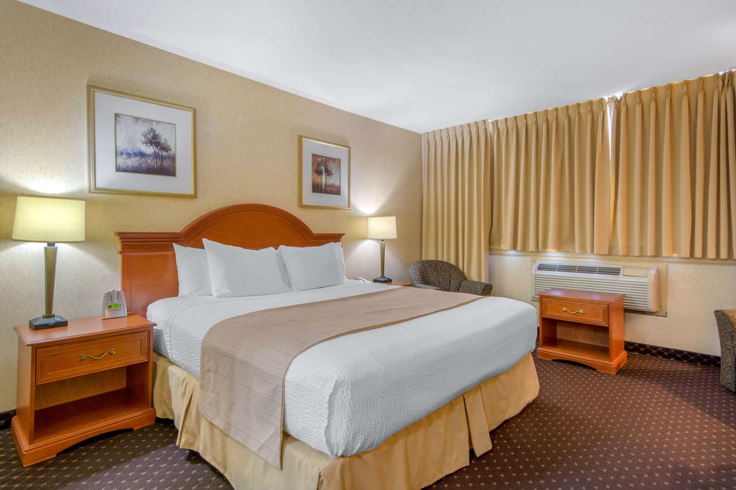 Room, King Bed