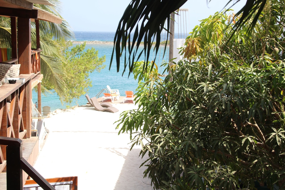 Coral Reef Beach Aruba 45/50