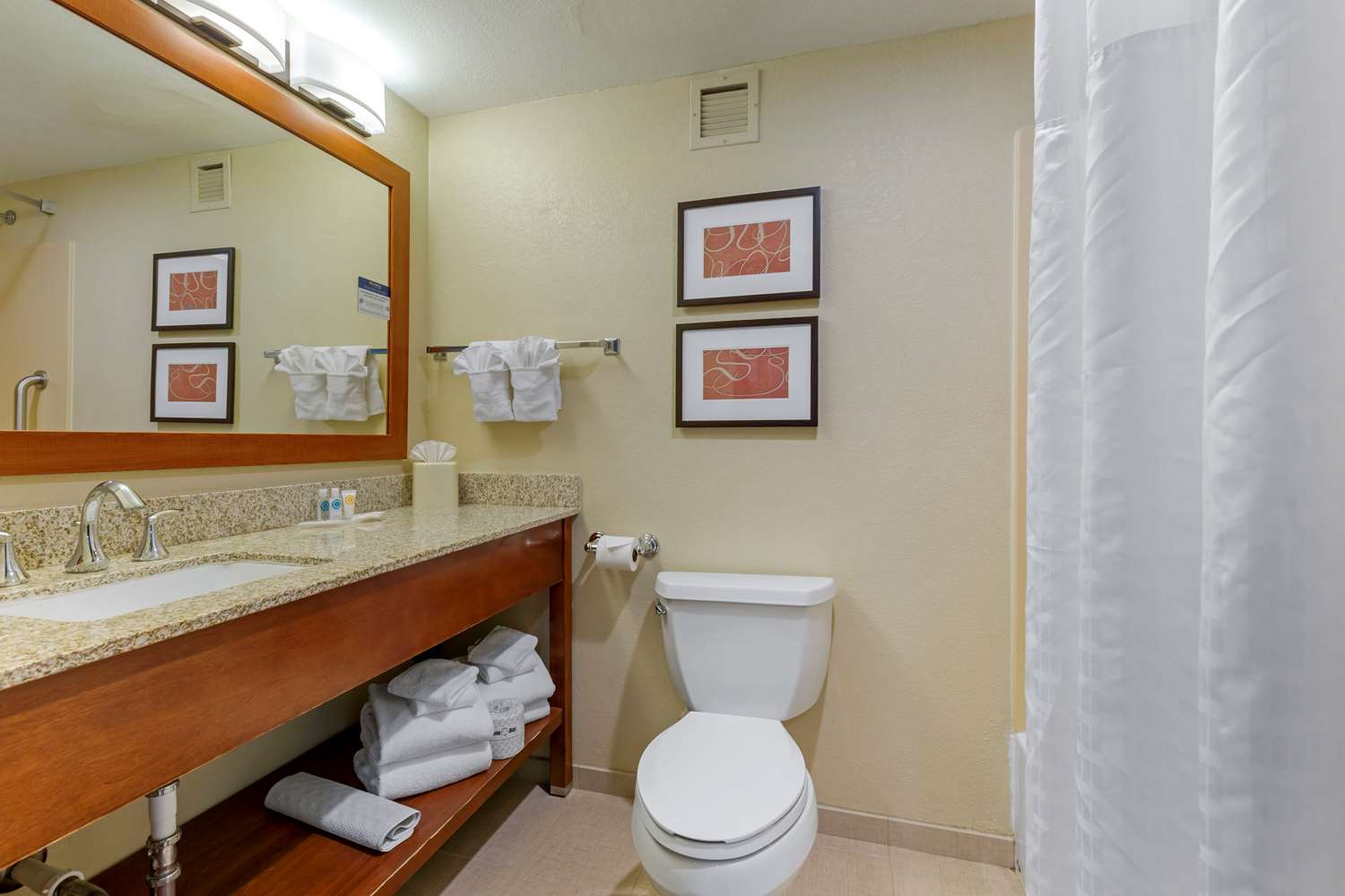 جناح بسريرين كوين، Comfort Suites Fredericksburg South 3/3