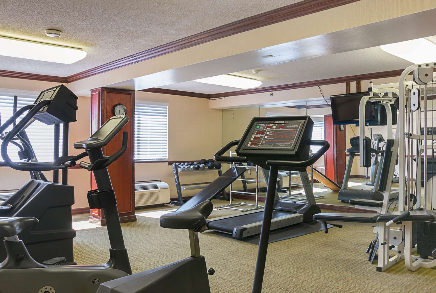 Quality Inn and Suites Detroit Metro Airport 18/27