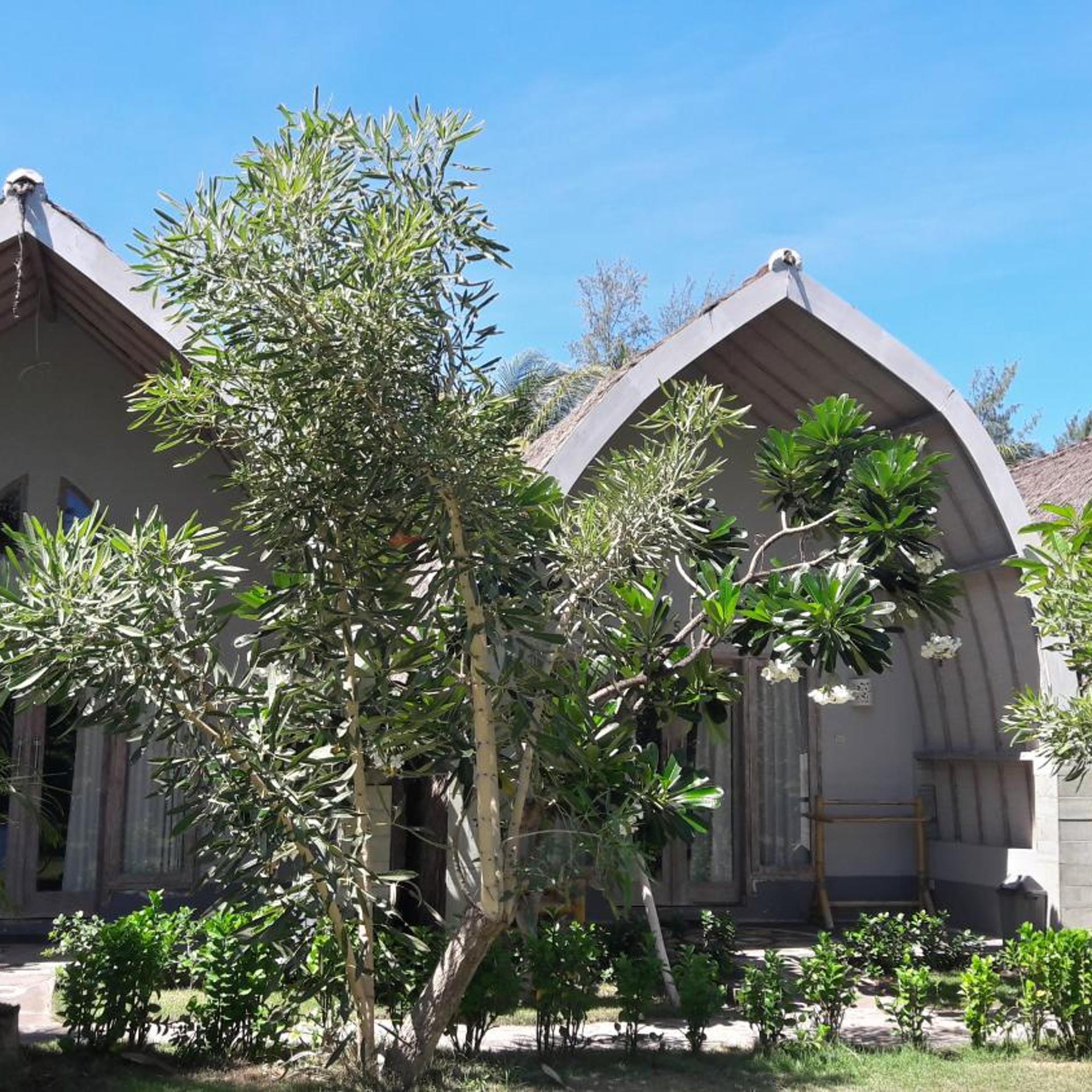 Puri Air Beach Resort and Spa 1/50
