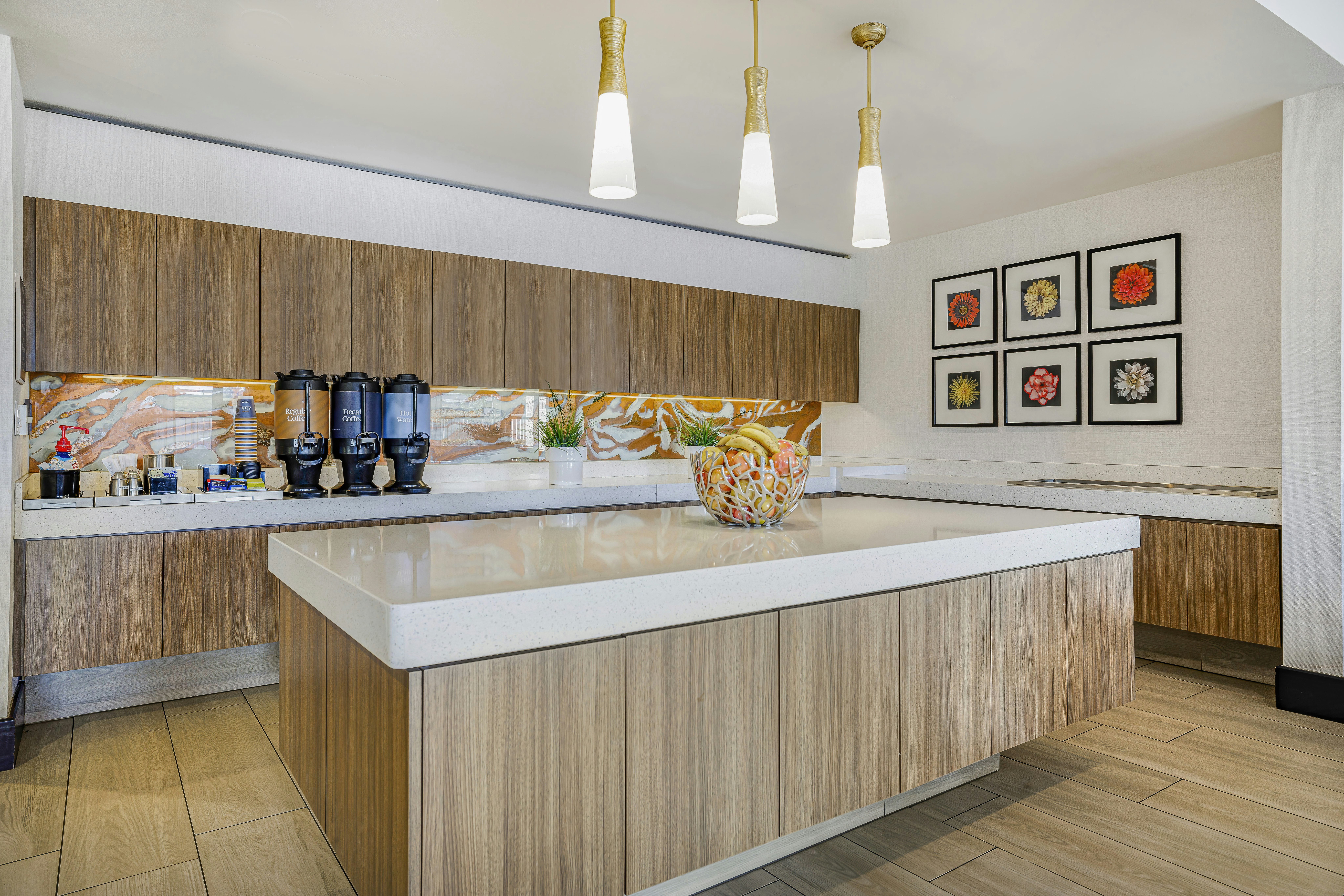 Homewood Suites by Hilton Plano-Richardson 6/29