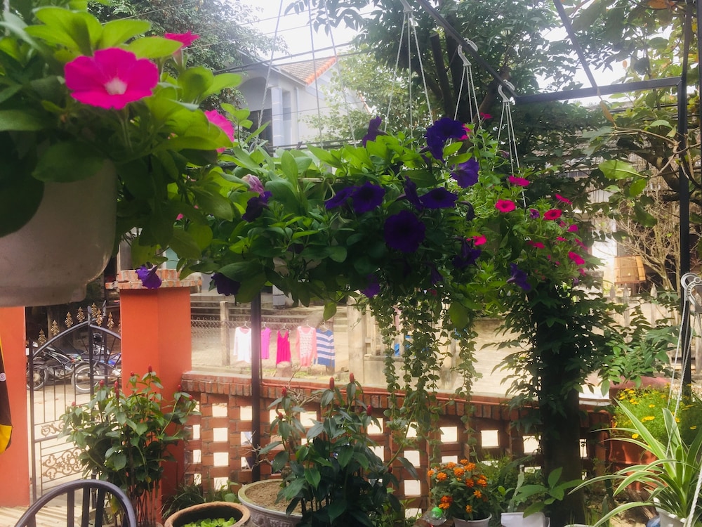 New Destination Hoi An Homestay photo4