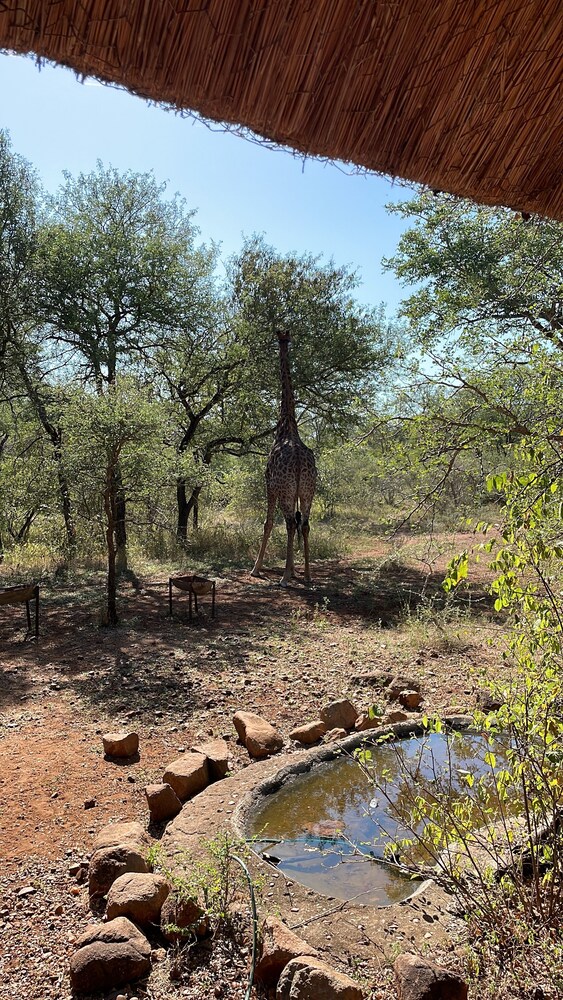 Nyala Luxury Safari Tents 35/50