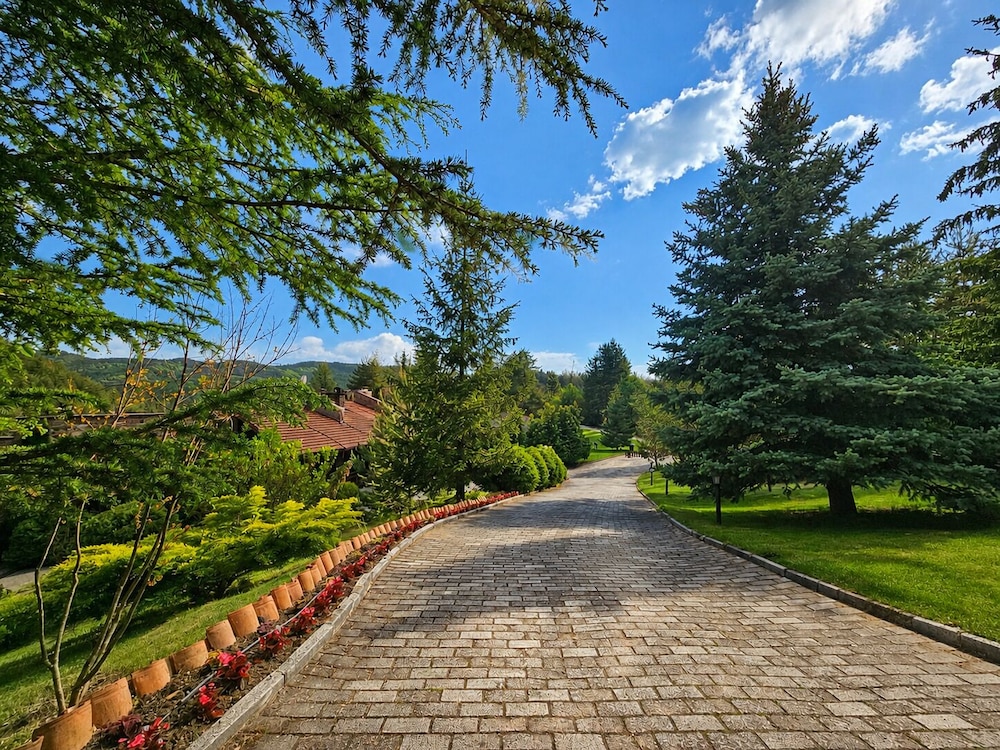 Aurora Resort Spa 74/76