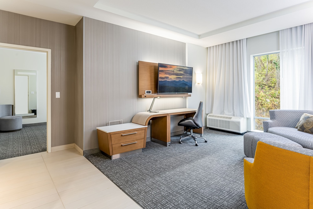 غرفة بسرير كينج مع أريكة لذوي الإعاقة، Courtyard by Marriott Asheville Biltmore Village 3/5