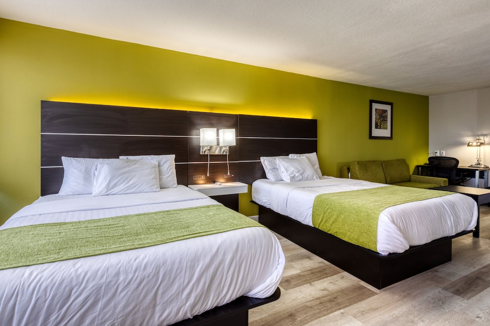 GRAND, STUDIO, SUITE, MULTIPLE BEDS
