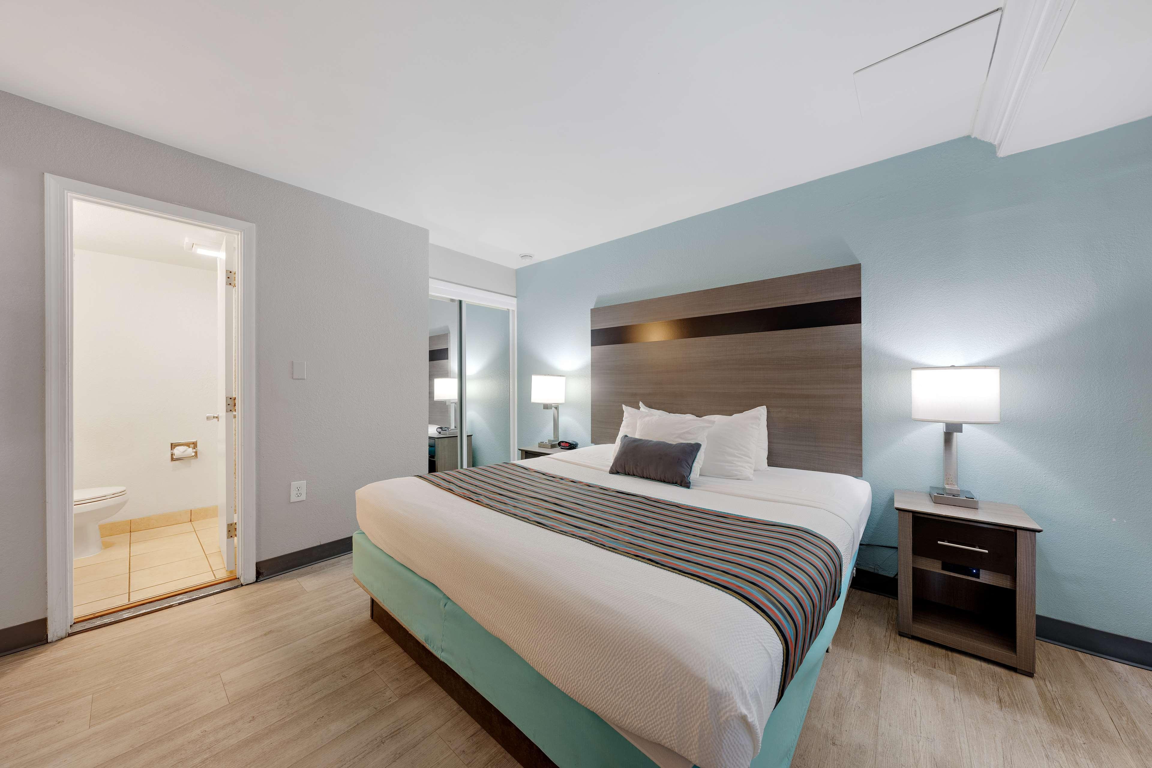 Suite, King Bed