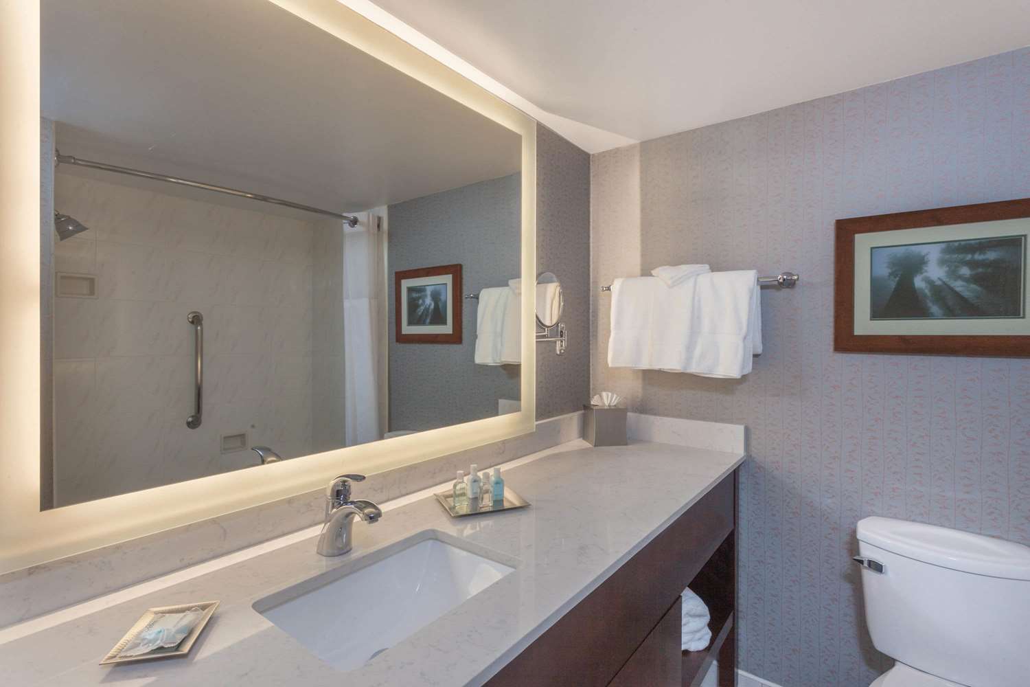 Wyndham Visalia 17/18