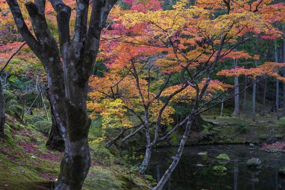 Hotel Arrows Arashiyama 26/30
