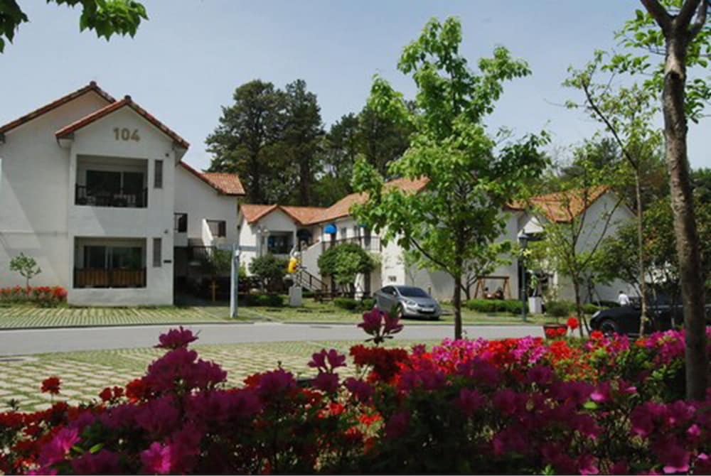 Damyang Meta Pension 30/35