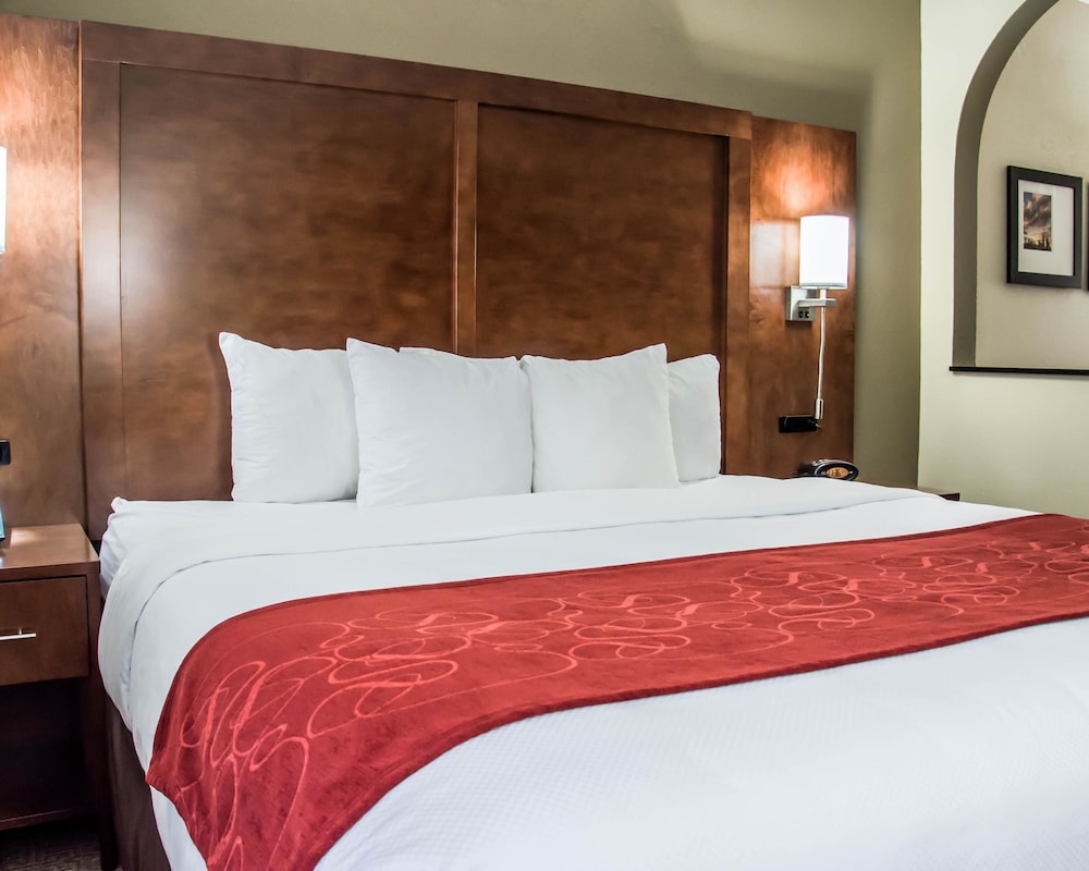 Comfort Suites University - Research Park 16/38