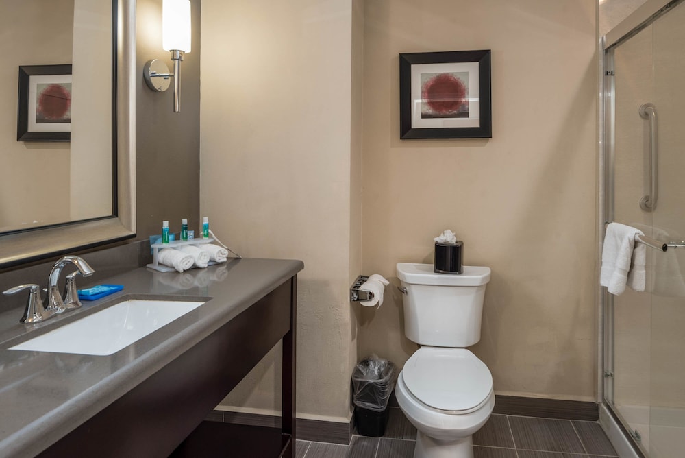 Holiday Inn Express Suites Lantana 25/57