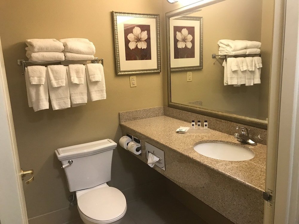 Country Inn Suites By Radisson Wilmington Nc 13/38