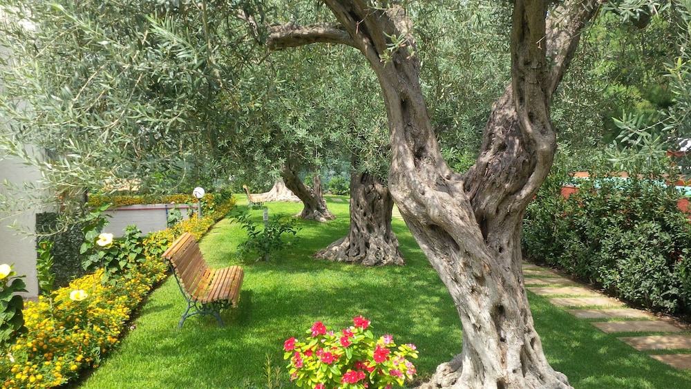 surroundings