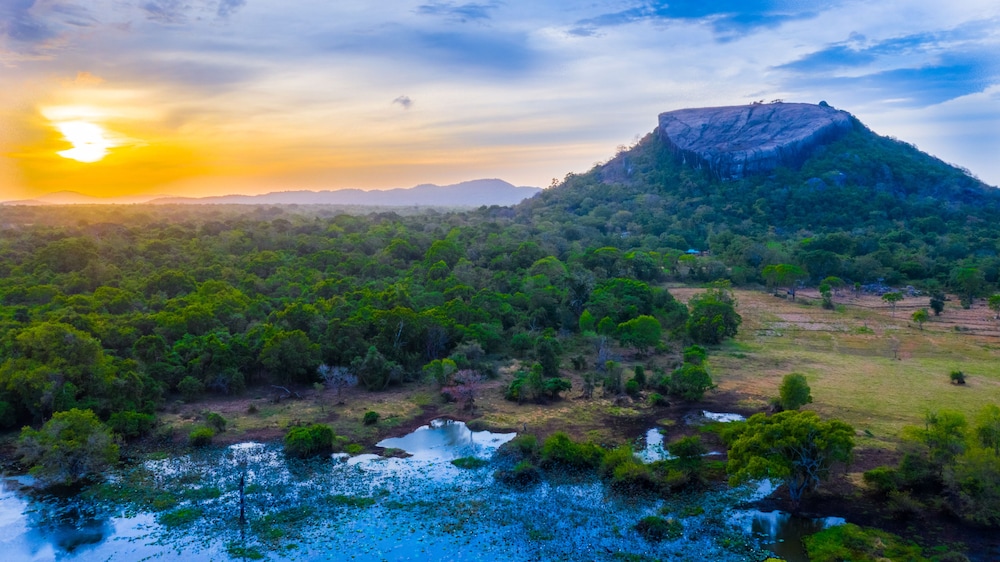 Sigiriya Kings Resort 55/61
