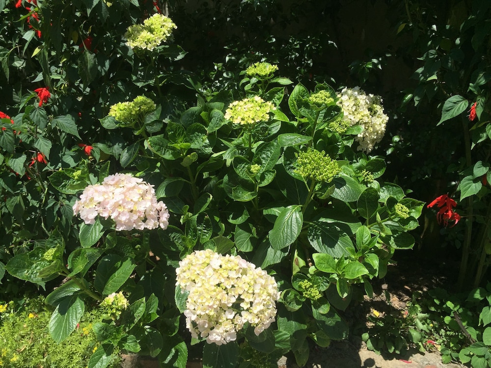 Sapa Garden Bed and Breakfast 63/73