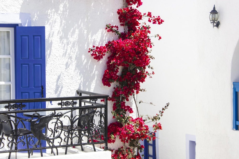 Naxos Holidays 18/64