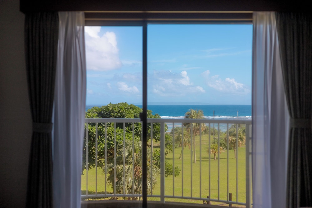 Coral Palms 21/50