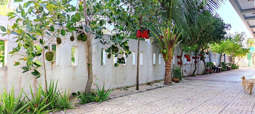 Cat Tien Guesthouse 60/61