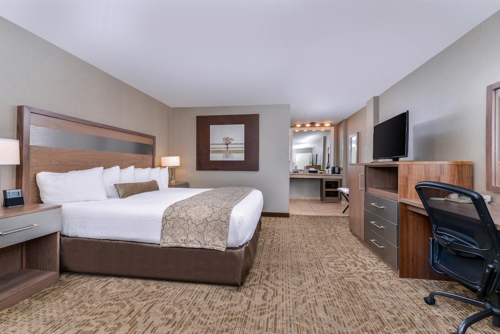 Best Western Plus Anaheim Inn 26/59