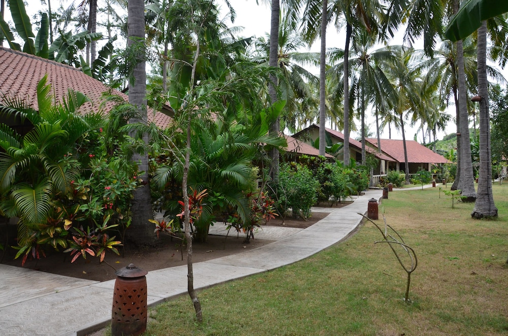 Cocotinos Sekotong Lombok 4/68