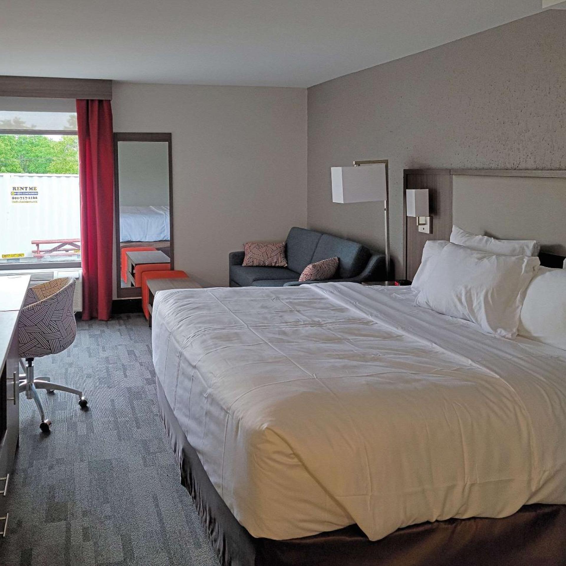 جناح بسرير كينج بحوض استحمام لذوي الإعاقة، Comfort Inn & Suites Wyomissing/Reading 2/6