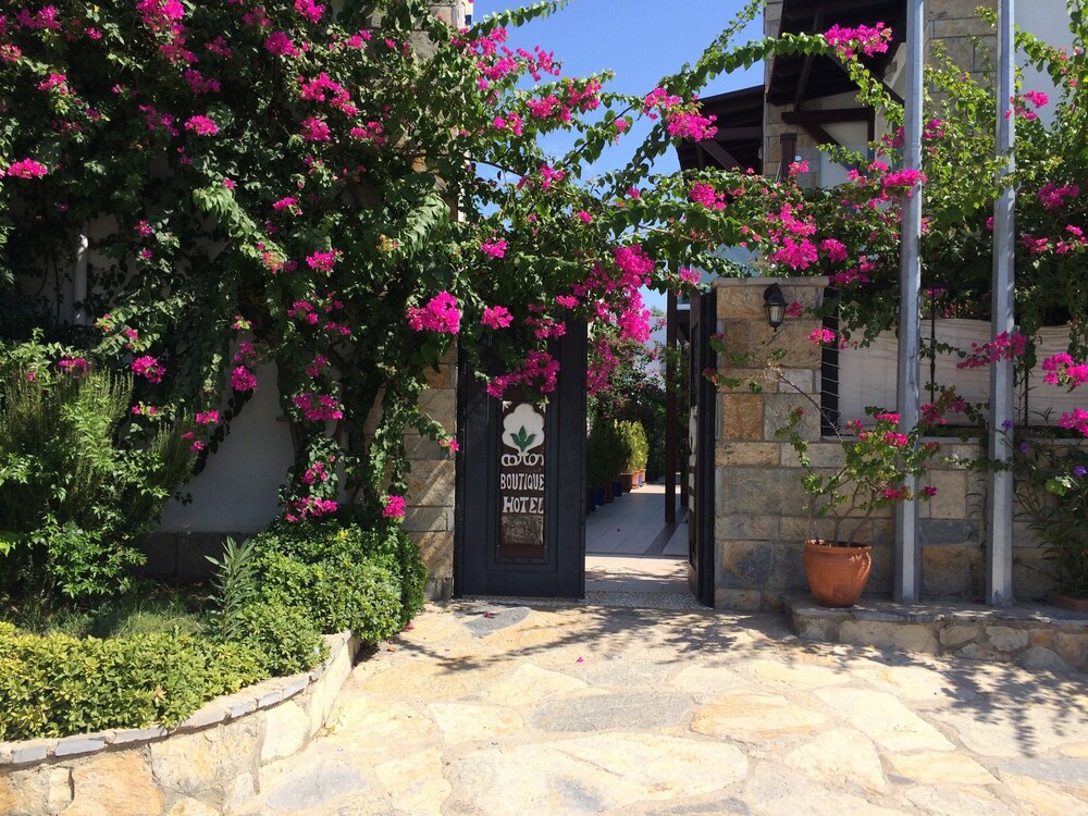 Cotton Boutique Hotel 31/34