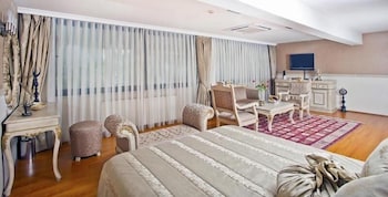 Peak Star Hotel Taksim 15/65