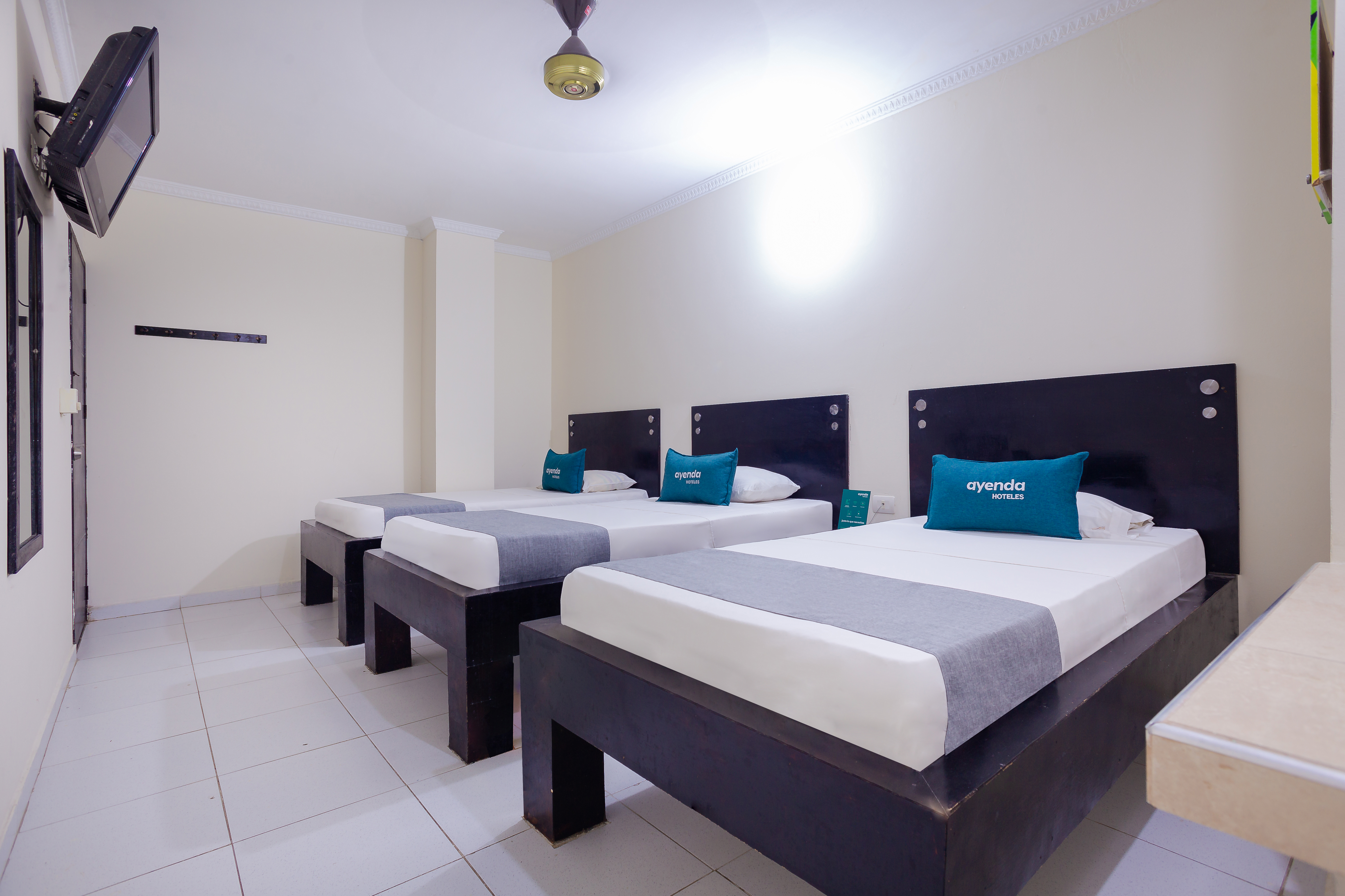 Hotel Calarca 1 18/59