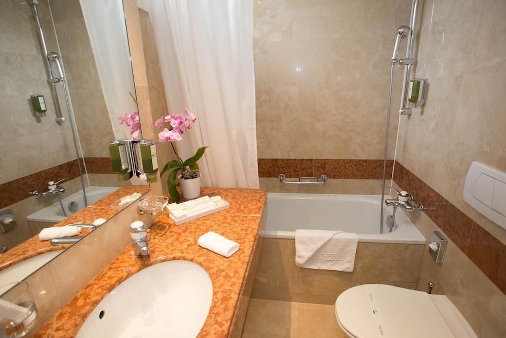 Carlton Lausanne Boutique Hotel 17/47