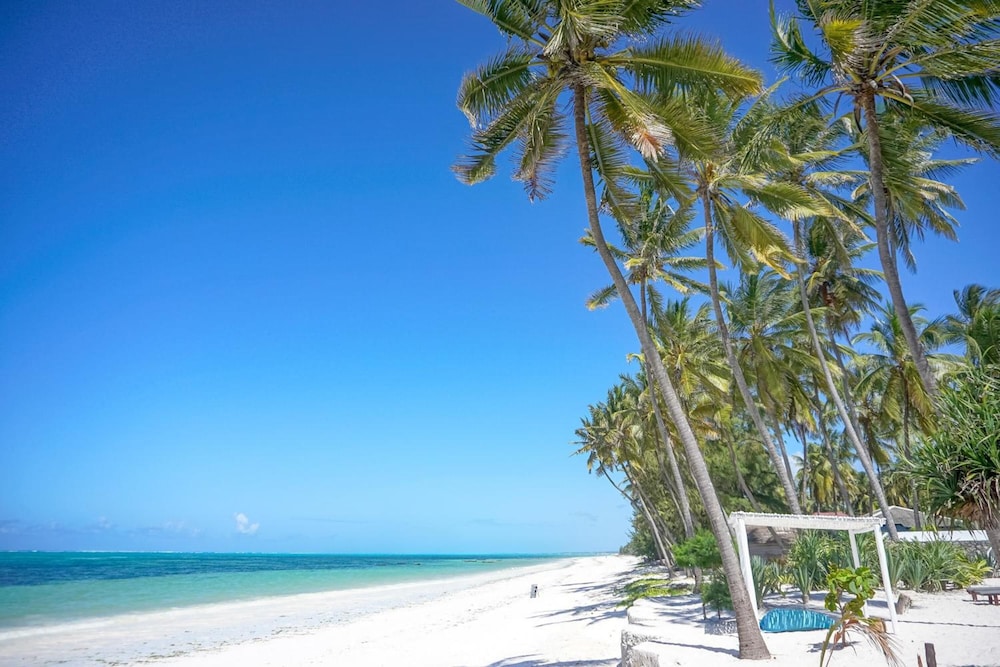 Indigo Beach Zanzibar 60/75