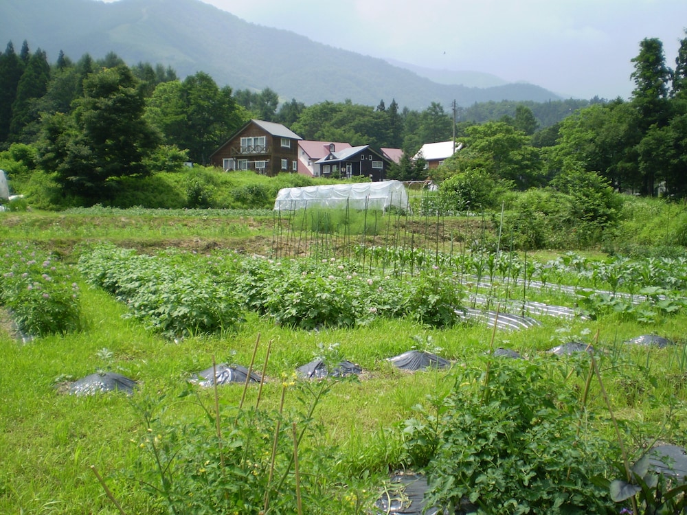 Pension Chauchau 14/16