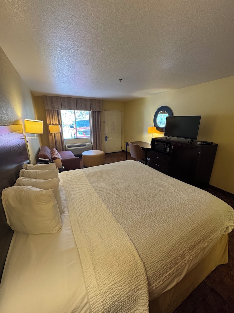 Room, King Bed