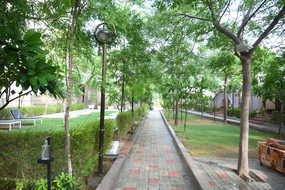 surroundings