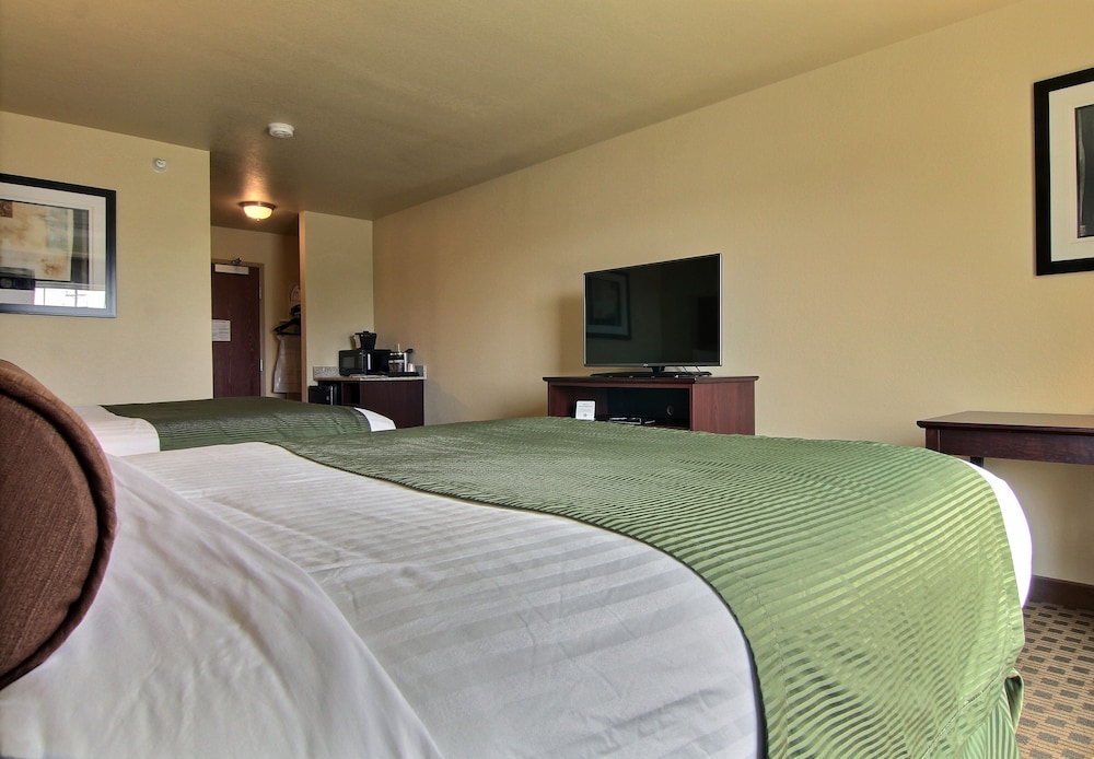 Cobblestone Hotel & Suites - Pulaski 8/62