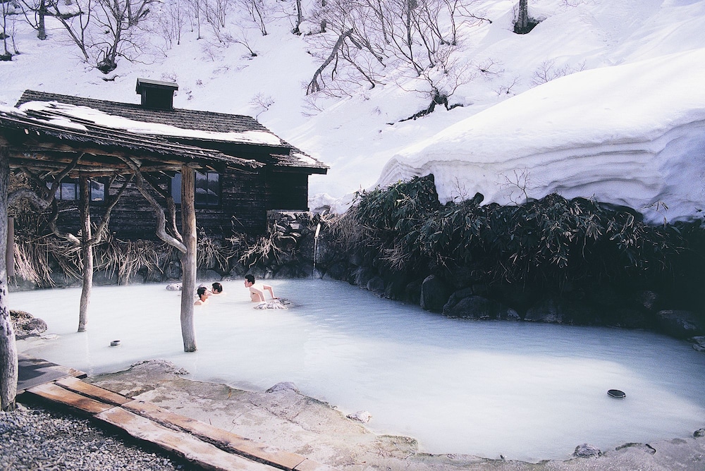 Akita Art Village Onsen Yupopo 18/20