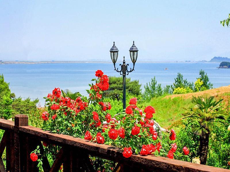 Anmyeongdo Dream Pension 40/50