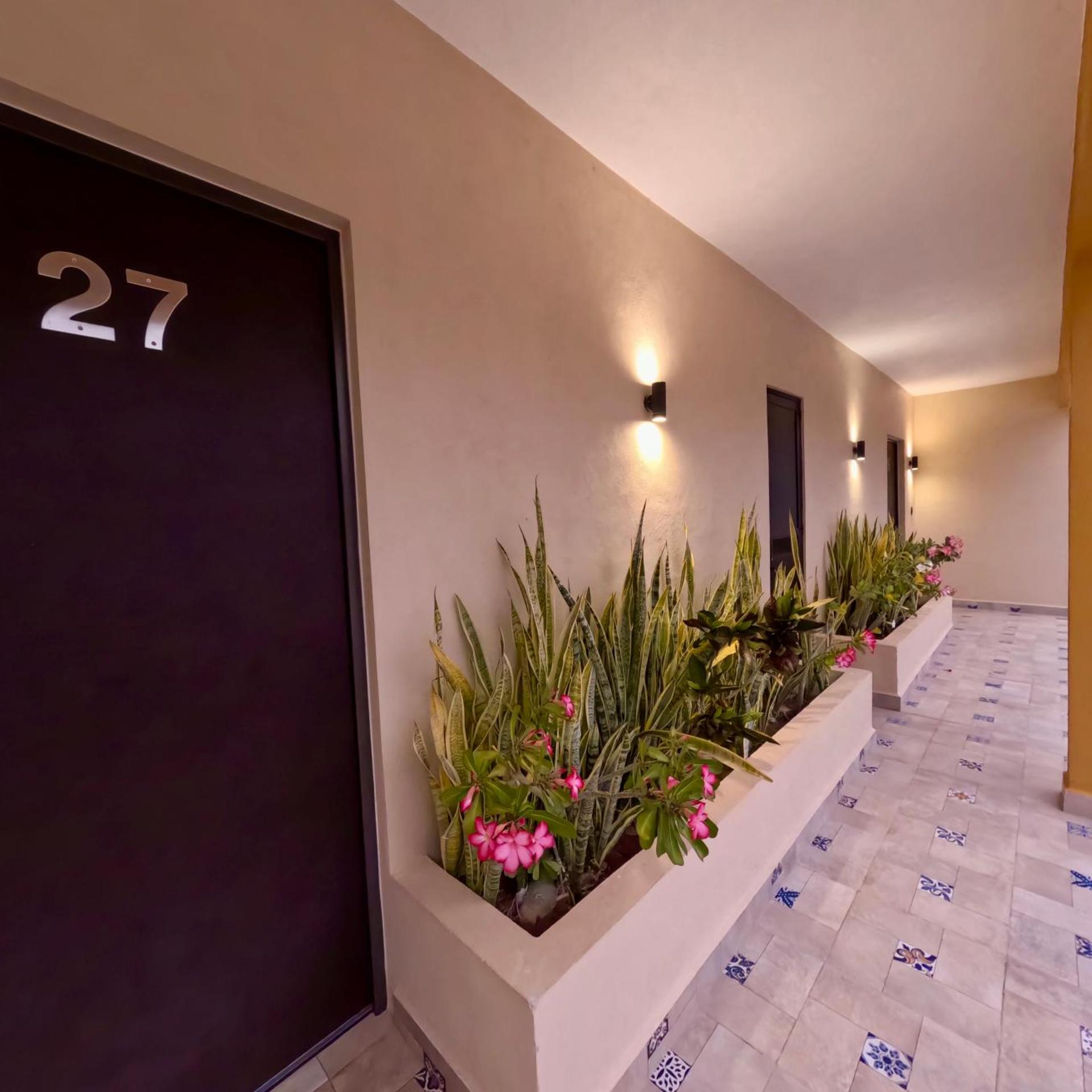 Hotel Avila 3/41
