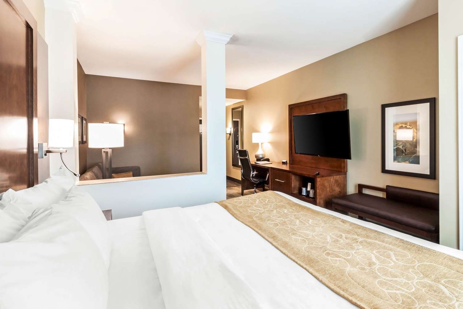 جناح بسرير كينج لذوي الإعاقة، Comfort Suites Brookings near University 2/2