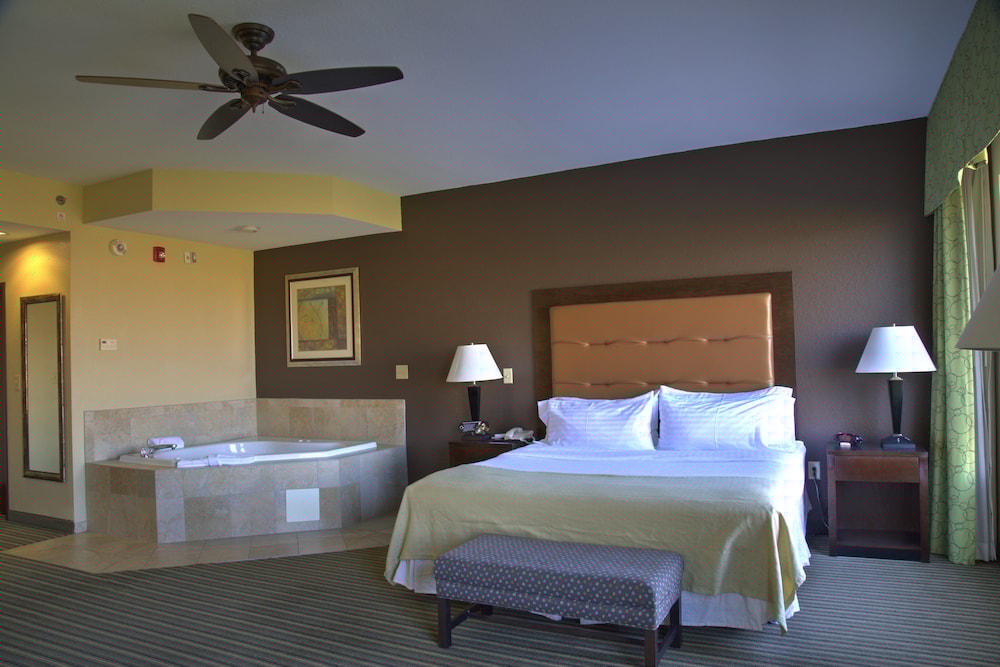 Holiday Inn Pearl - Jackson Area 10/71