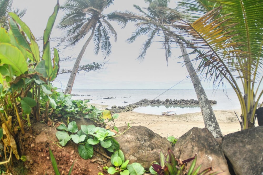 Tropical Island Breeze 42/50
