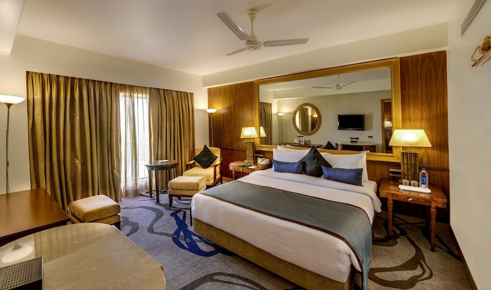 Pride Plaza Hotel Ahmedabad 8/36