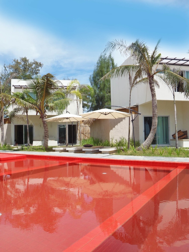 レッドZザオーシャン 写真1