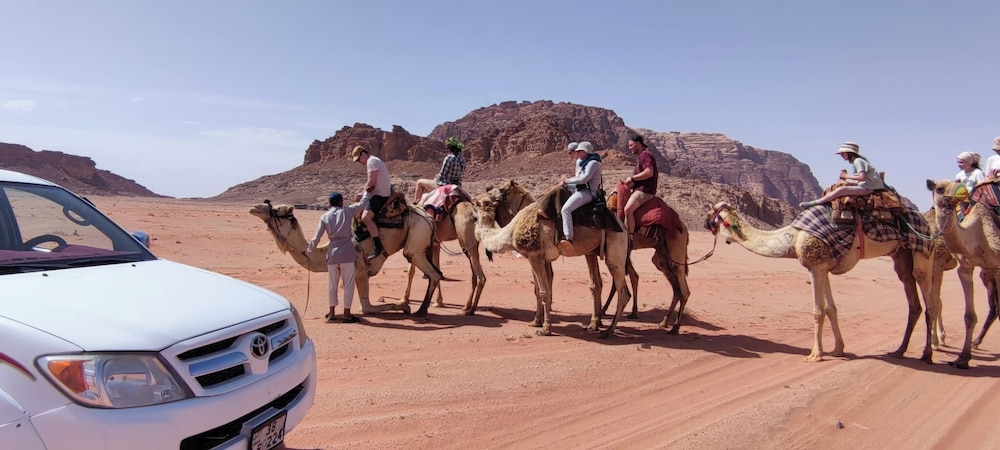 Magic Bedouin Star 27/50