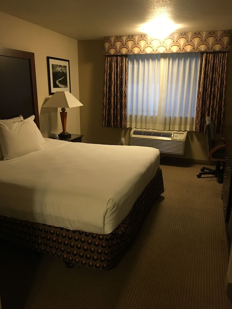 District Hotel 20/50
