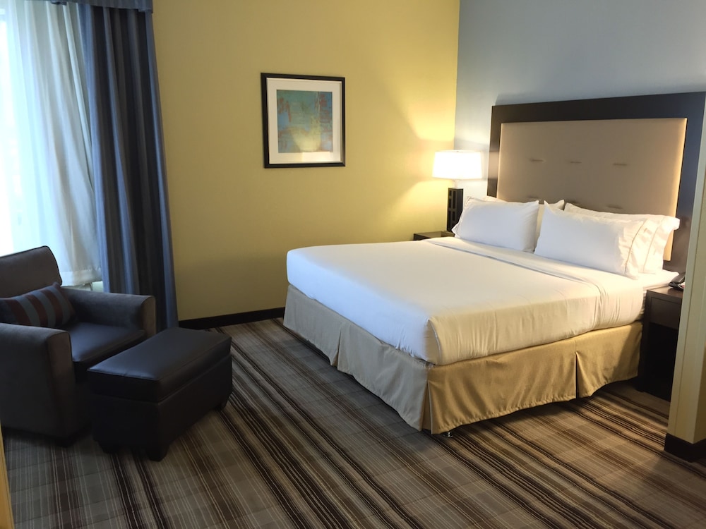 Holiday Inn Express Chicago NW - Arlington Heights, an IHG Hotel 12/54