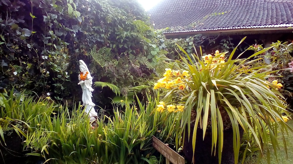 Warung Rekreasi Bedugul 37/50