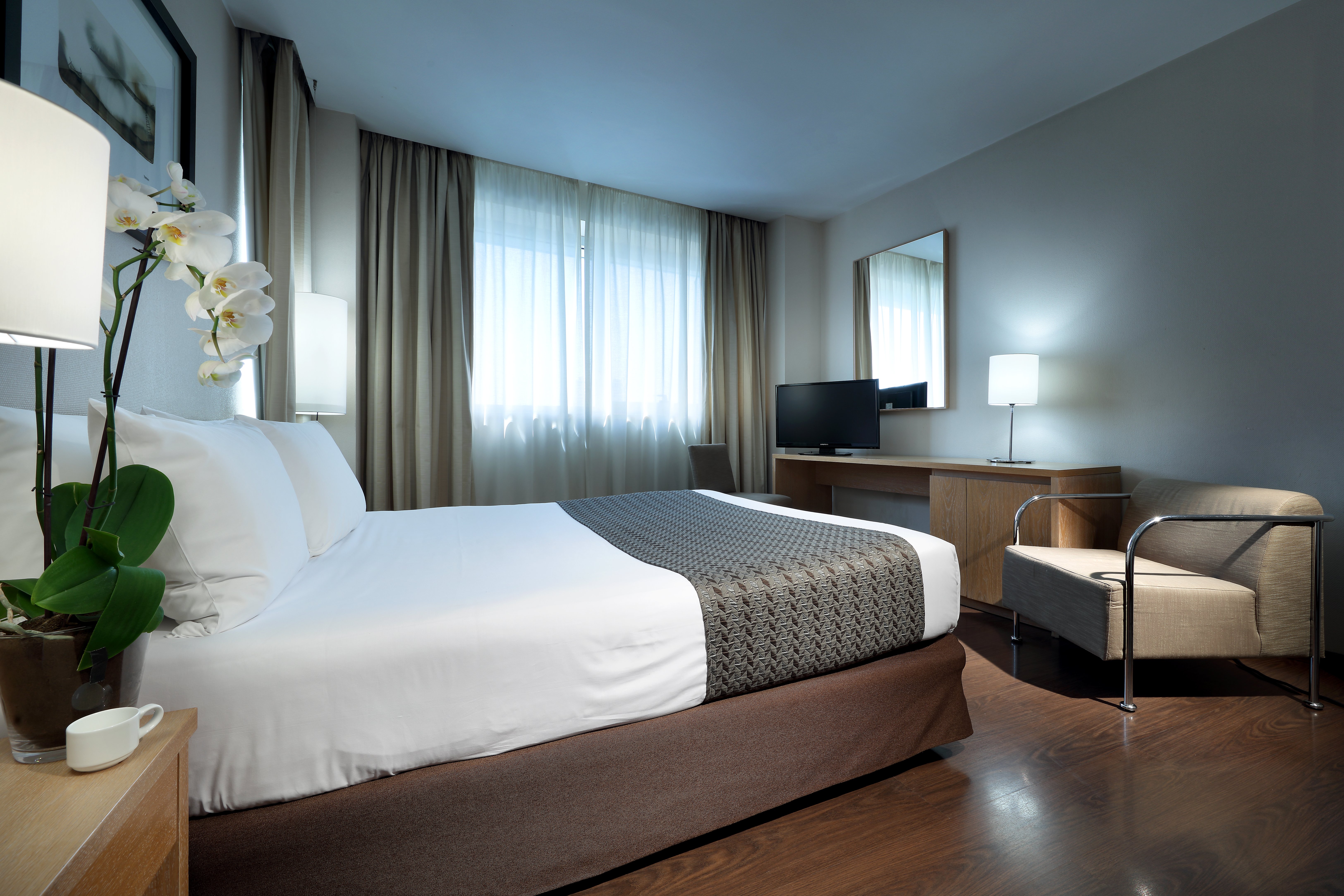 Eurostars Lucentum 16/50