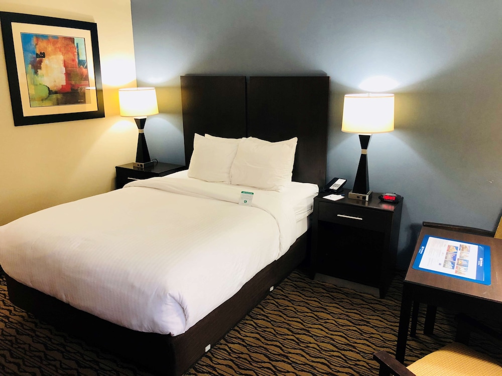 Best Western Inn Florence 16/38